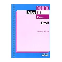 COMMENT BAPTISTE EST MORT Auteur(s): BLOTTIERE ALAIN