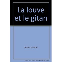 L ORPHELINE DE MANAHATAN T 3 LES LARMES DE L HUDSON Auteur(s): DUPUY MARIE BERNADETTE