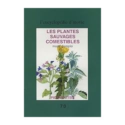 ASTERIX T 37 ASTERIX ET LA TRANSITALIQUE Auteur(s): FERRI JEAN YVES