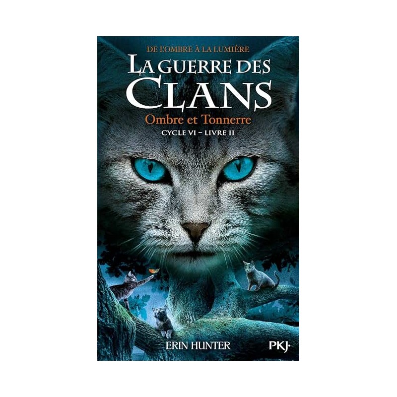 LA GUERRE DES CLANS CYCLE 6 T2 OMBRE ET TONNERRE Auteur(s): HUNTER ERIN