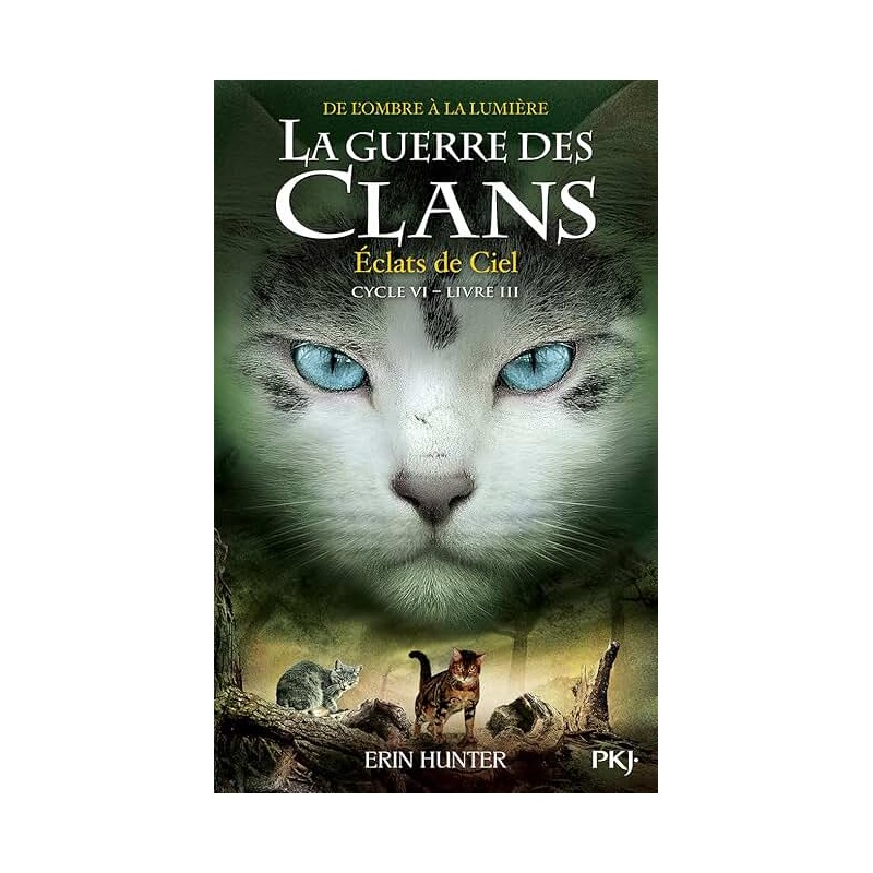LA GUERRE DES CLANS CYCLE 6 T3 ECLATS DE CIEL Auteur(s): HUNTER ERIN
