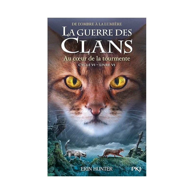 LA GUERRE DES CLANS CYCLE 6 T6 AU COEUR DE LA TOURMENTE Auteur(s): HUNTER ERIN