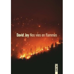 NOS VIES EN FLAMMES Auteur(s): JOY DAVID