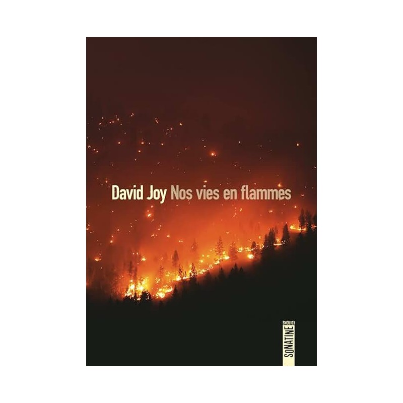 NOS VIES EN FLAMMES Auteur(s): JOY DAVID
