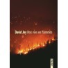 NOS VIES EN FLAMMES Auteur(s): JOY DAVID