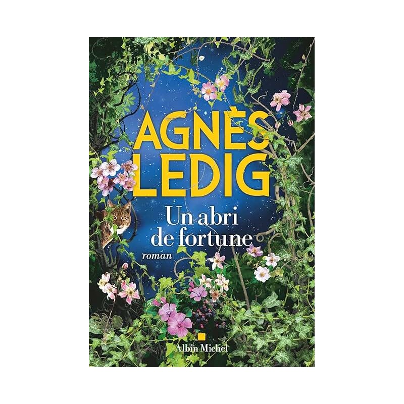 UN ABRI DE FORTUNE Auteur(s): LEDIG AGNES
