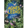 UN ABRI DE FORTUNE Auteur(s): LEDIG AGNES
