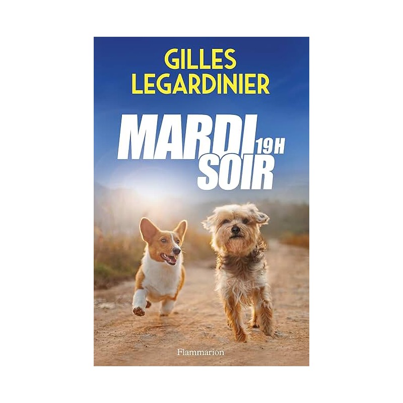 MARDI SOIR 19 H Auteur(s): LEGARDINIER GILLES