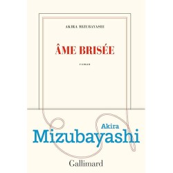 AME BRISEE Auteur(s): MIZUBAYASHI AKIRA