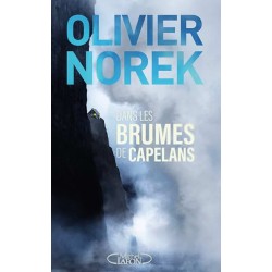 DANS LES BRUMES DE CAPELANAS Auteur(s): NOREK OLIVIER