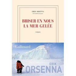 BRISER EN NOUS LA MER GELEE Auteur(s): ORSENNA ERIK