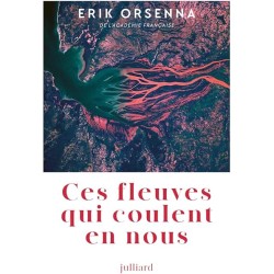 CES FLEUVES QUI COULENT EN NOUS Auteur(s): ORSENNA ERIK