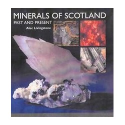 LES DINOSAURES T1 Auteur(s): PLUMERI ARNAUD