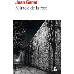 LA BETE DE LA CAVE Auteur(s): STINE R L