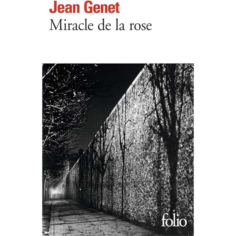 LA BETE DE LA CAVE Auteur(s): STINE R L