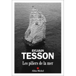 LES PILIERS DE LA MER Auteur(s): TESSON SYLVAIN