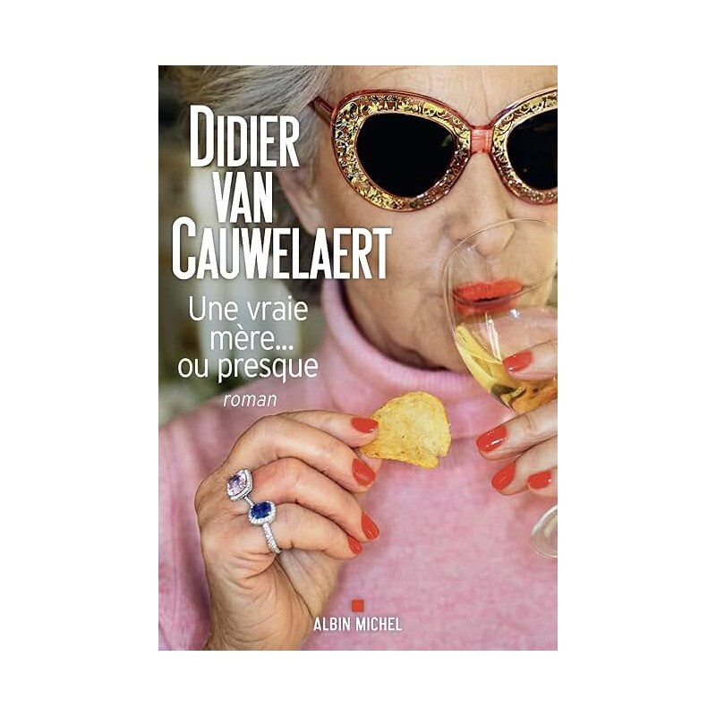 UNE VRAIE MERE OU PRESQUE Auteur(s): VAN CAUWELAERT DIDIER