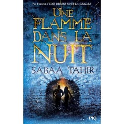 UNE FLAMME DANS LA NUIT